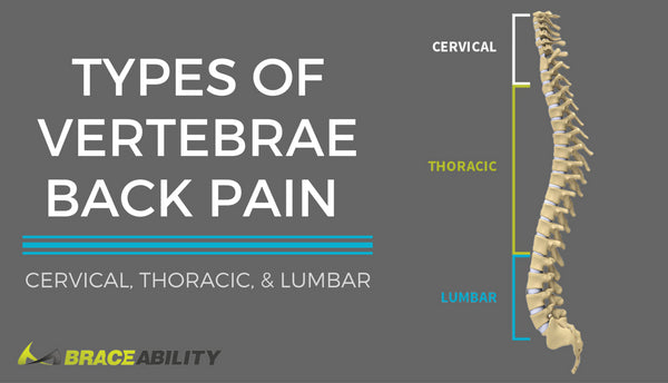 http://www.braceability.com/cdn/shop/articles/cervical-thoracic-lumbar-vertebrae-back-pain_600x.jpg?v=1525709173