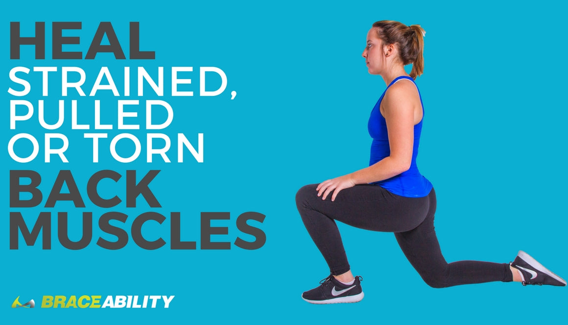 Back Muscles! Overview, Stretching & Strengthening Ex. » How To Relief